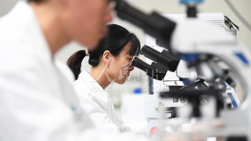 临床期CDMO的价格通常由以下几部分构成：