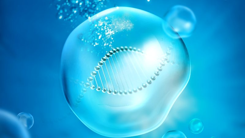 小分子CDMO供应商资质揭秘：合规之路的关键要素**