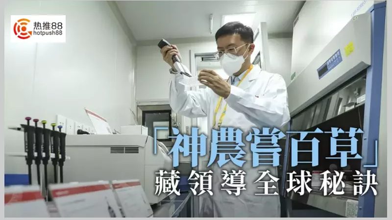 CDMO项目合作：揭秘药物研发背后的专业服务