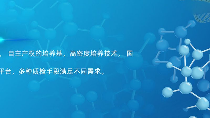 CRO与CDMO：揭秘药物研发背后的双剑合璧