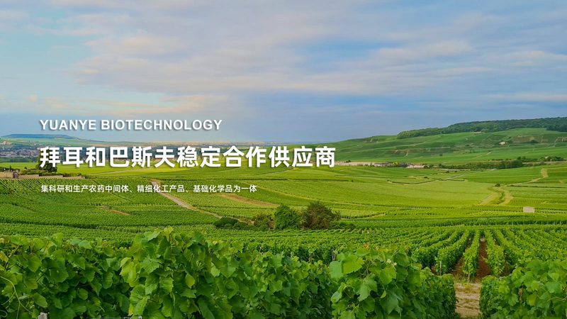 疫苗定制研发生产厂家