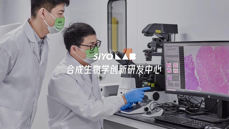 北京分子生物学试剂，如何挑选优质供应商？**