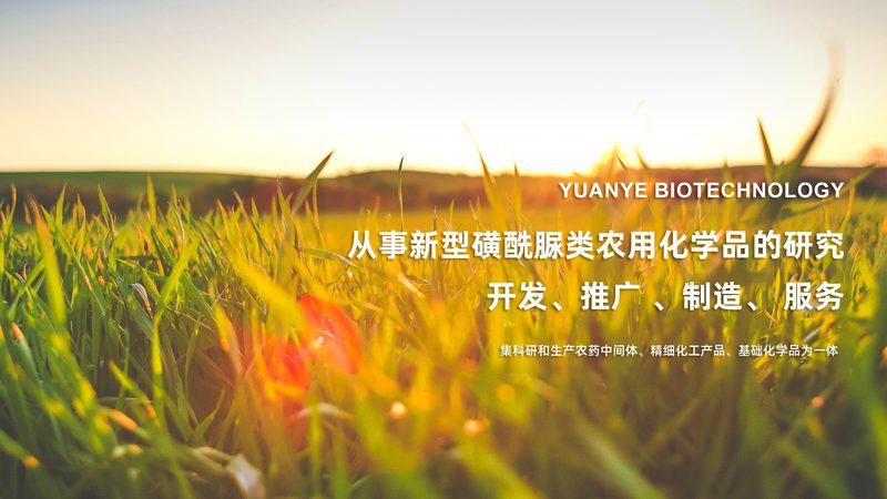 上海CDMO生产厂家：揭秘医药研发背后的关键力量