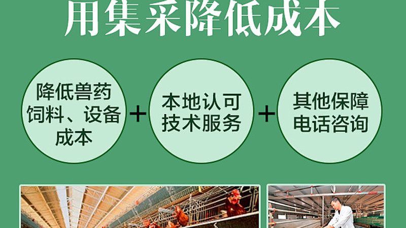 生物医药外包生产资质要求：合规之路的关键要素**