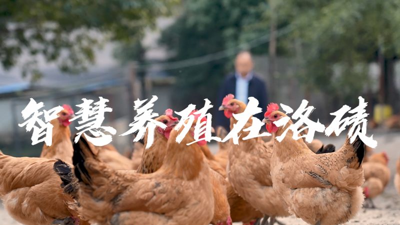 CDMO一次性技术使用收费：揭秘其背后的成本构成与考量