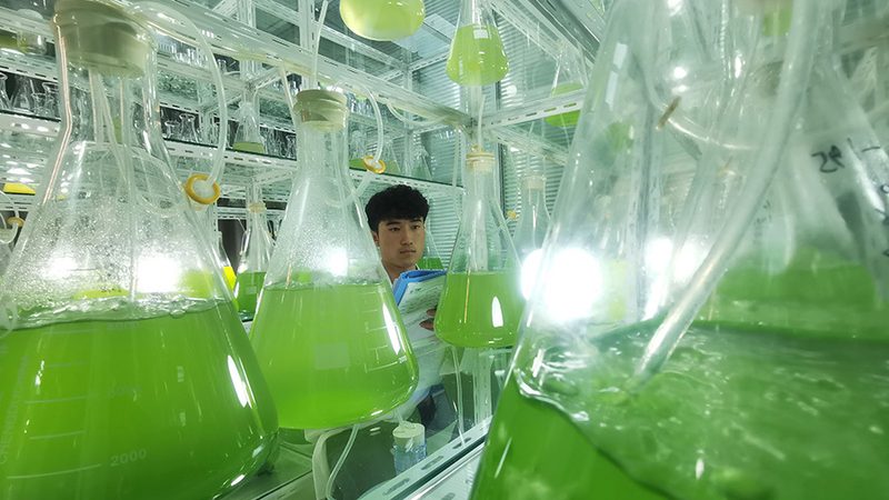 生物医药外包项目，如何慧眼识珠？**